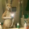 Jhon Cabrera - @jhonfcabrera - TikTok