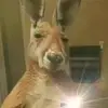 Jhon Cabrera - @jhon.cabrera12 - TikTok