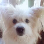 Jhon Clemente - @jhon.clemente.1042 - Instagram