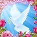 Jhon Delgado - Facebook