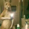 Jhonatan Delgado - @jhonatan.delgado63 - TikTok