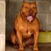 Jhon Mateo - Facebook