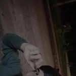 Alejandro Ruiz Ruiz - @jhonruiz_2423 - Instagram