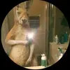 Jhonatan Lopez Pérez - @jhonatan140lopez - TikTok
