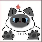 Jia Cynn Gan - Facebook