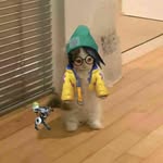 Jia Gangwani - @jiagang28 - Instagram