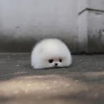 Jiafeng Li - @jfffff000 - Instagram