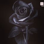 Jiah Khan - @jiah_khan_jiah_khan - Instagram