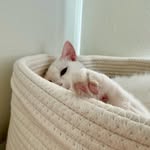 Jiah Kim - @jiah328 - Instagram