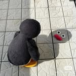 Jiahui Shi - @jiahuishi512 - Instagram