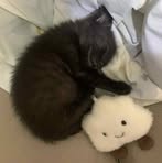 石佳蕙 - Facebook