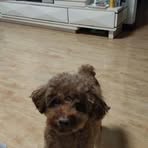 Jiamin Liu - Facebook