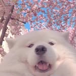 Jiamin Wang - @jjjiaminnnn - Instagram