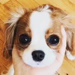 Jiaming Chen - @jiaming.chen.94 - Instagram