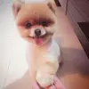 Jian Lin - @jianlin44 - TikTok
