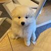 JIAO WU - @jiao.wu - TikTok