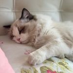 Jiawei Lin - @jiawei_lin_sstone - Instagram