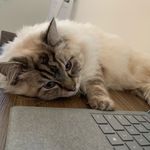 Jiawei Lin - @wodewwei - Instagram