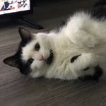 @jiawei.lin.cz - Instagram