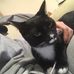 Jiayi Hao - Facebook