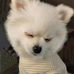 Jiayi Hao - Facebook