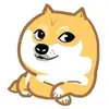 Jiaying Shen - @2146428545 - TikTok