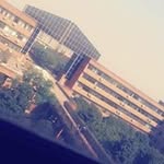 Jie Dong - @dongjie1831 - Instagram