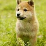 Jie Peng - @peng.jie - Instagram