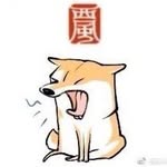 Jie Peng - @jiepeng.0v0 - Instagram
