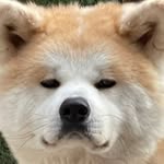Jie Peng Hsu - @jp.she - Instagram