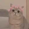 chajieun.aulia432 - @chajieun.aulia432 - TikTok