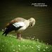 Jigar Mehta - Facebook