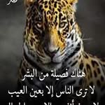 Jihad Issa - @jihad910 - Instagram