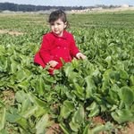 Jihad issa - @abderrahmane.issaouballah - Instagram