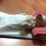 Jihong Park - @ggikko.park - Instagram