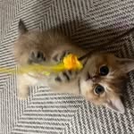 Jihoon  Jang - @babamung.zz - Instagram