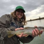 Jill Harris Agnew - @jilldeannehoyt - Instagram