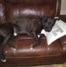 Jill Allard - Facebook