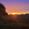 Jill Altmann - @jill.altmann - TikTok