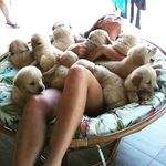 F.Y.D ON US SARA.JILL.ARTHUR - @feedyourdogonusa - Instagram