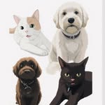 hi - @jill.babbi.agg.dazz - Instagram