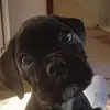Roxy - @jillbachem4 - TikTok