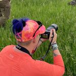 Jill Bachman - @bachmanbayphotography - Instagram