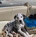 Jill Bacon - Facebook
