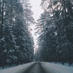 Jill - @jill_bain - Instagram