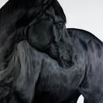 JILL BARBER RICHARDSON ART - @jillbarberrichardsonart - Instagram