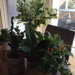 Jill Barden - @jill_barden - Instagram