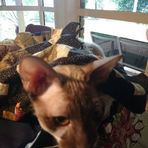Jill Barfield - Facebook
