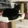 BattleButtJill - @battlebuttjill - TikTok