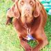 Jill Beveridge - Facebook